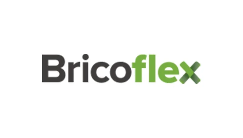 Logotipo Bricoflex